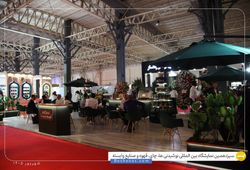 قهوه رجینا