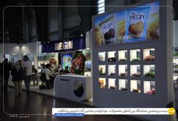 نگین