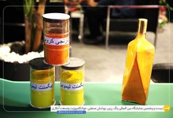 گروه شیمیایی زاس کم