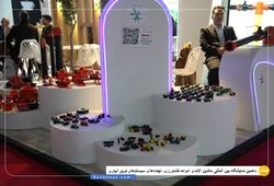 پرنده باران پارس 