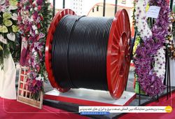 رسانا تک طلایی