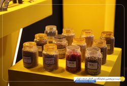 کاویان سایش فرنیا