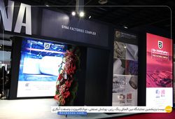 ساینا