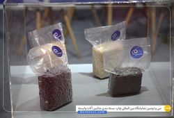 کاریا پلیمر