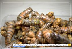 آويژه کشت بافت آروین با نام تجاری گل و گیاه بِست (BEST)