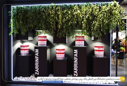 زرین فام