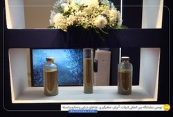 امیران پودر خلیج فارس