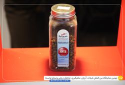 بهدانه شمال 