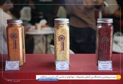آرمانی فود