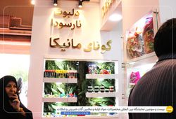 شرکت شیرین سون علیشاه