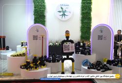 پرنده باران پارس 