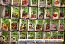 آرکا بذر ایرانیان