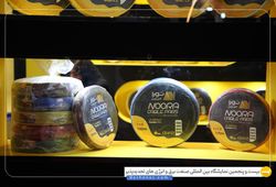 نورا کابل پارس