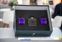  شمیم پایتخت