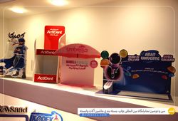 کارا بینش