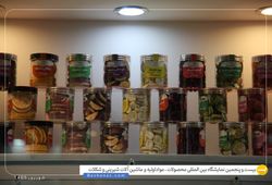 شیرین دارو (بایو فیلیز)