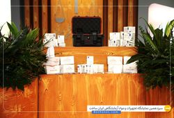 گروه توسعه اقتصادی بینش