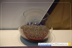کیهان پایش الوند