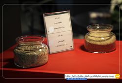 سور اوجین عقیق