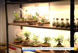 خانه گل و گیاه سل