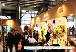 مجتمع صنایع غذایی پوک پوک