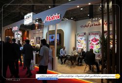 دیبا ماندگار (ماتریکس)