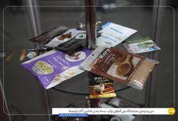 همگامان صنعت ایرسا