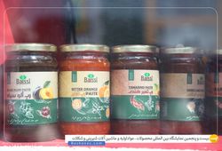 ترش و شیرین نارین زاگرس (نارین)