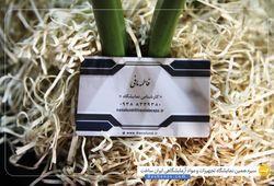 صندوق فناوری نانو