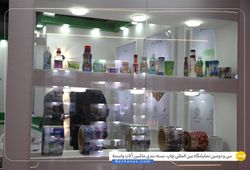 داروپات شرق