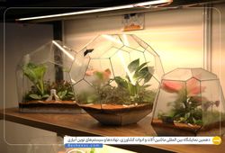 خانه گل و گیاه سل