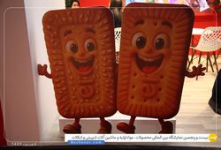 شیرین ارم سپنتا