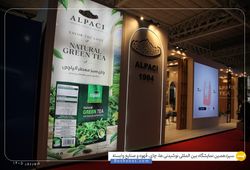 آلپاچی