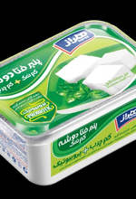 پنیر فتا کم چرب و کم نمک پروبیوتیک 300گرمی