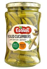 خیارشور ویژه ۷۰۰ گرمی