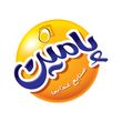 گروه صنعتی پامین
