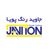 جاوید رنگ پویا