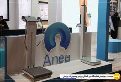 شرکت دانش بنیان آنیا