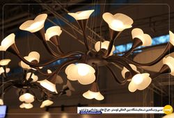 ستاره یخی ice star