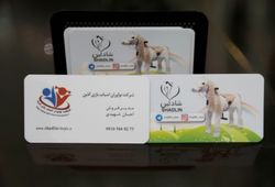 نواوران اسباب بازی آذین