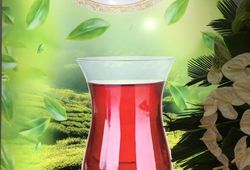  طبیعت سبز میهن 