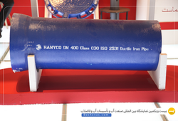 هامون نایزه