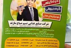 نسیم صباح مازندران
