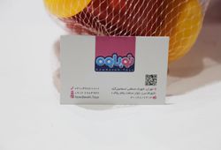 اسباب بازی نوباوه