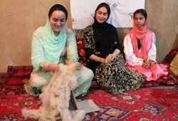 لباس، فرهنگ و آداب و رسوم عشایر آذربایجان غربی