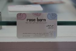 رز برن