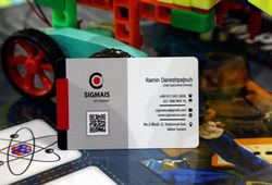 دامینه پژوهشگران جوان