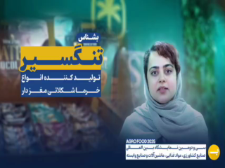 شرکت تعاونی تلاشگران تنگسیر