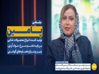 گروه صنعتی پامین